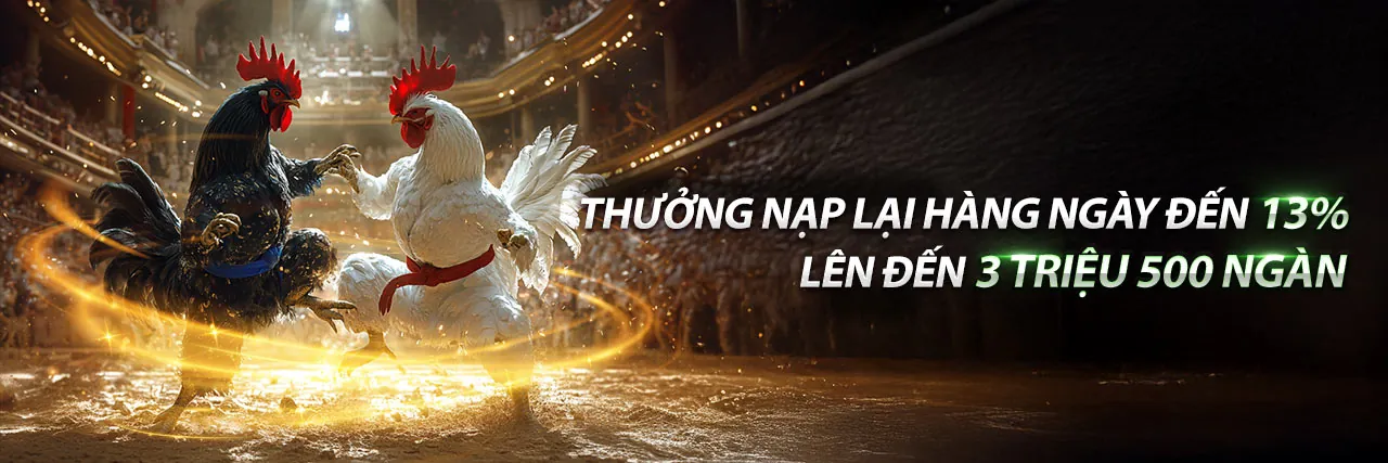 Đá Gà Trực Tuyến tk888
